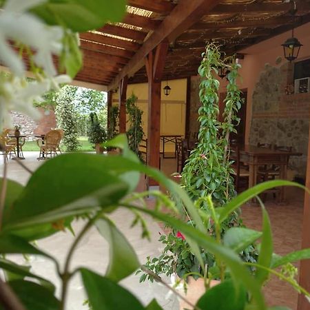 Agriturismo Il Selvello Le Versegge ภายนอก รูปภาพ