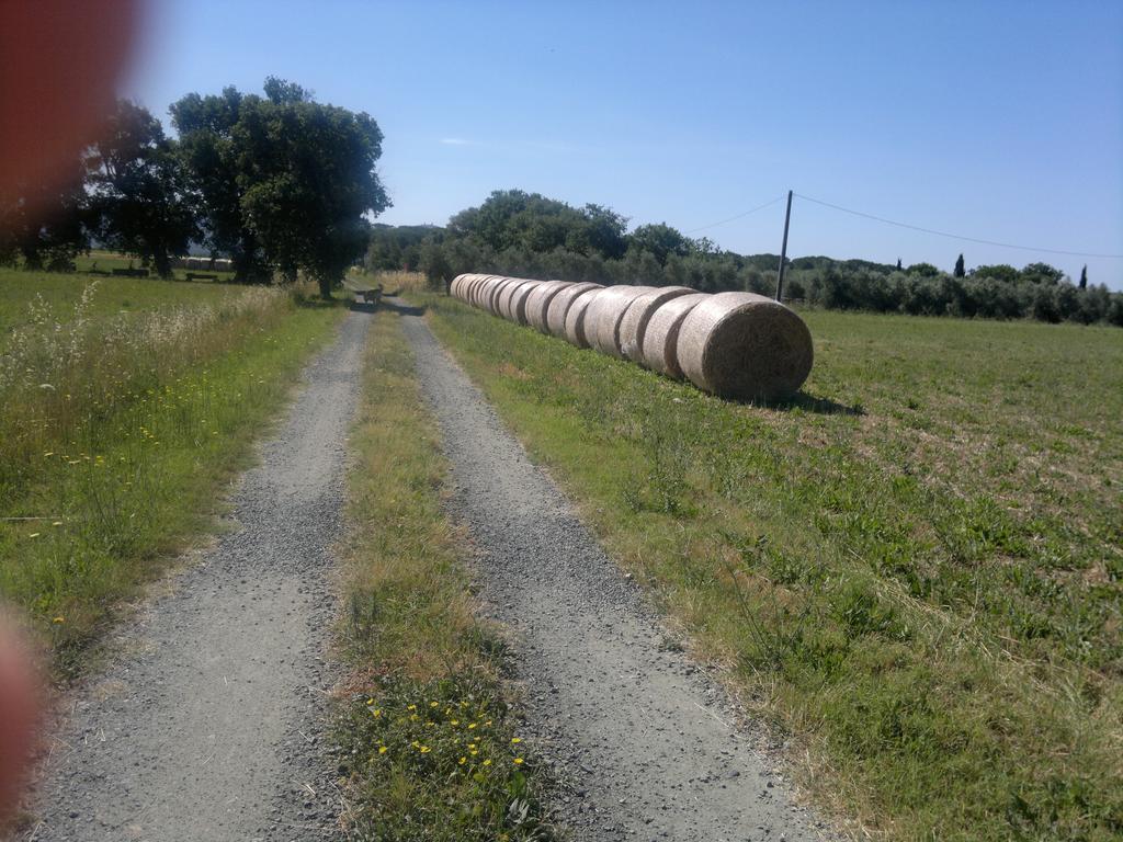 Agriturismo Il Selvello Le Versegge ภายนอก รูปภาพ