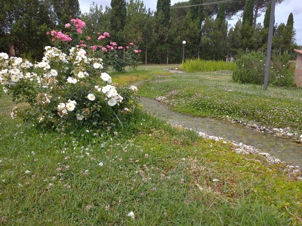 Agriturismo Il Selvello Le Versegge ภายนอก รูปภาพ