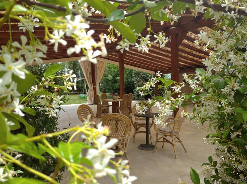 Agriturismo Il Selvello Le Versegge ภายนอก รูปภาพ