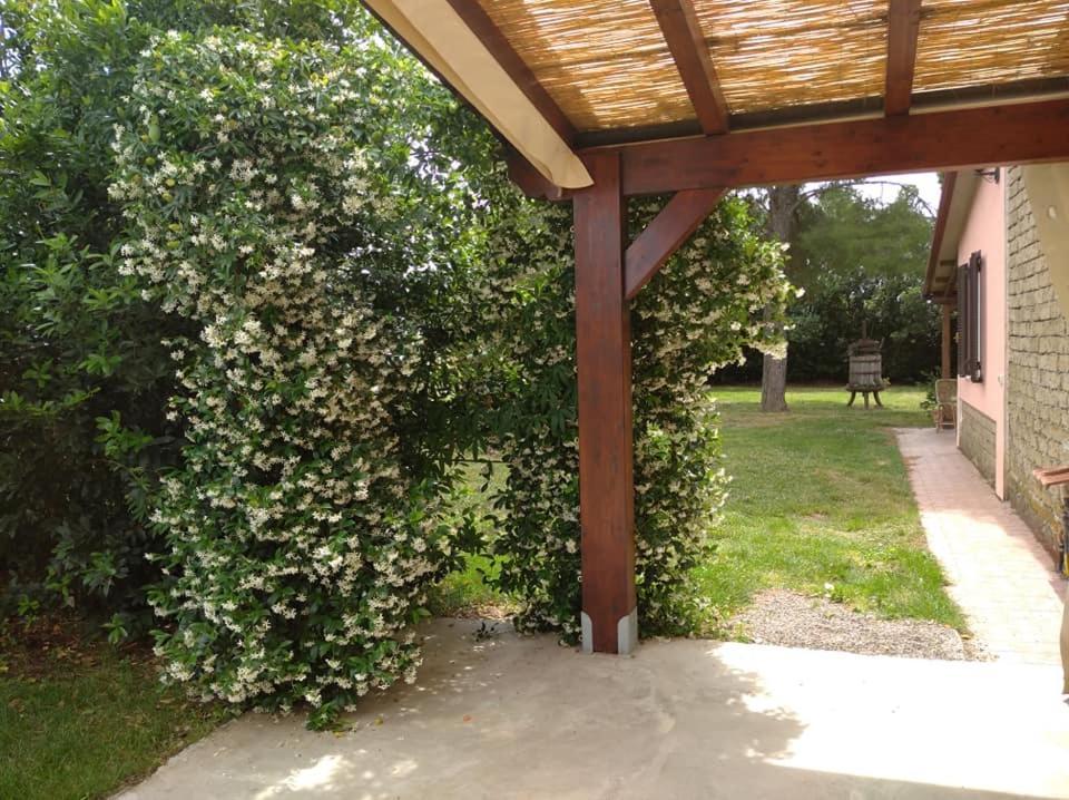 Agriturismo Il Selvello Le Versegge ภายนอก รูปภาพ