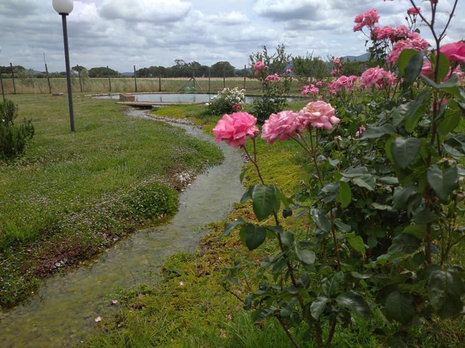 Agriturismo Il Selvello Le Versegge ภายนอก รูปภาพ