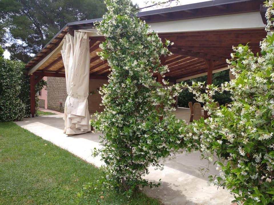 Agriturismo Il Selvello Le Versegge ภายนอก รูปภาพ